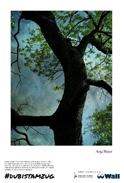 photographs_of_nature_animals_and_cityscapes_1.jpg
