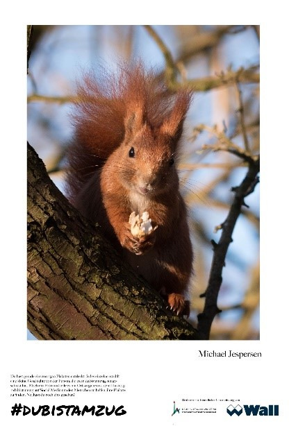 photographs_of_nature_animals_and_cityscapes_4.jpg