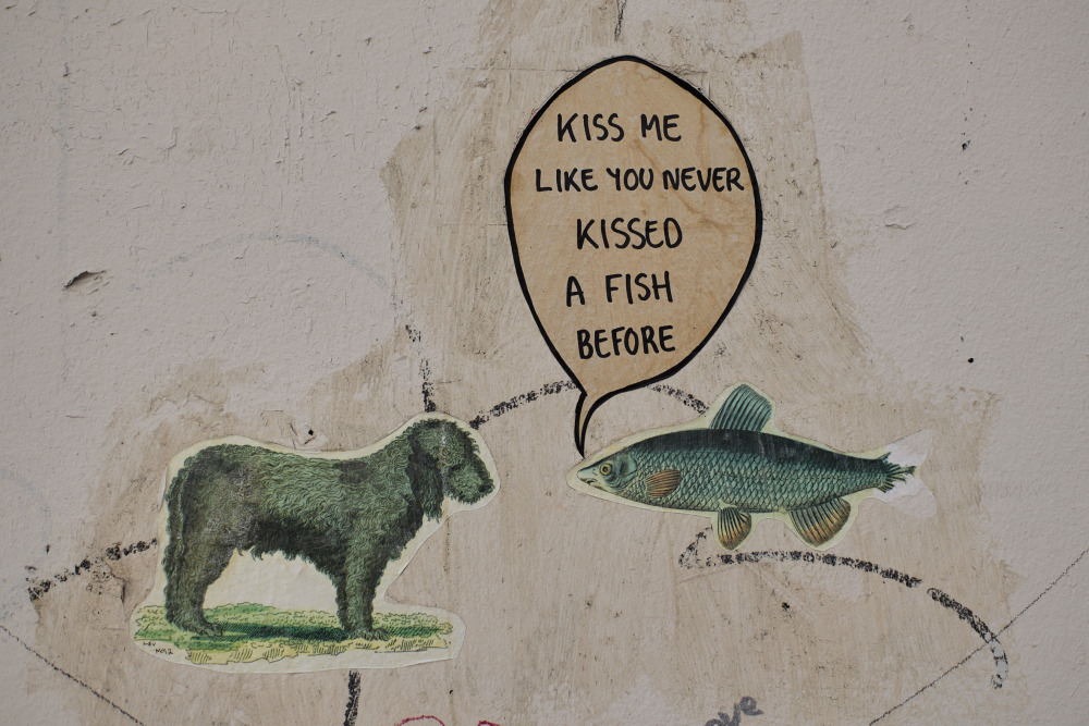 fish