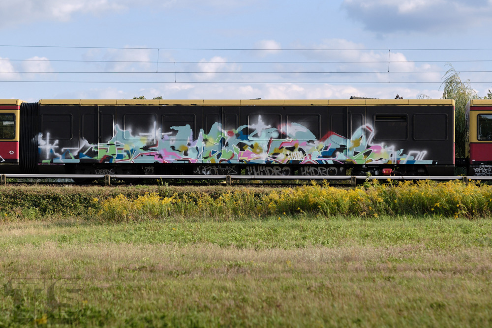 huskies_wholecar_berlin